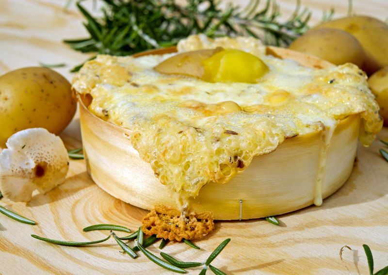 Bryndza Salaš Hora